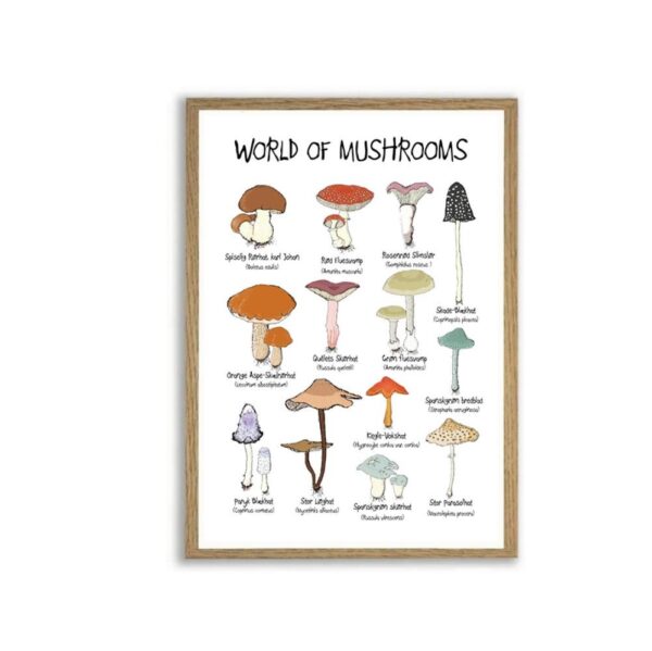 World of Mushrooms