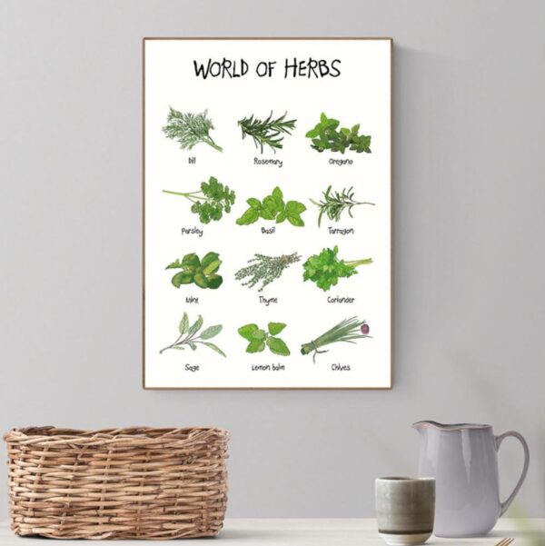 World of Herbs - Billede 2