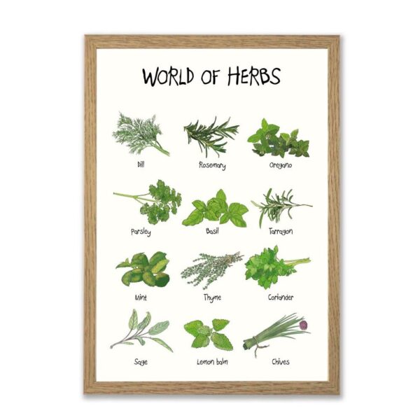 World of Herbs